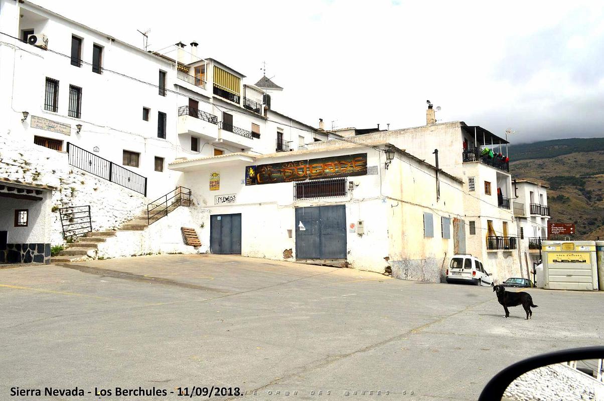 24 SIERRA NEVADA DE UGIJAR A TREVELEZ (94).JPG